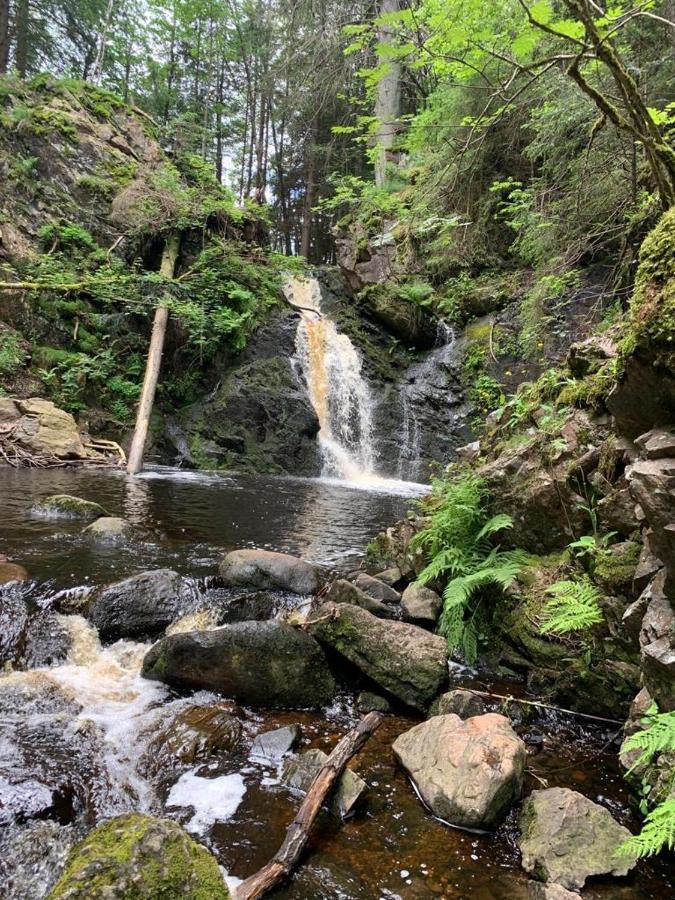 Apartment Am Wasserfall Mit Sauna & Top-Lage Feldberg  Luaran gambar